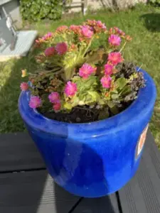 Réalisation d’une terrasse à Vantoux